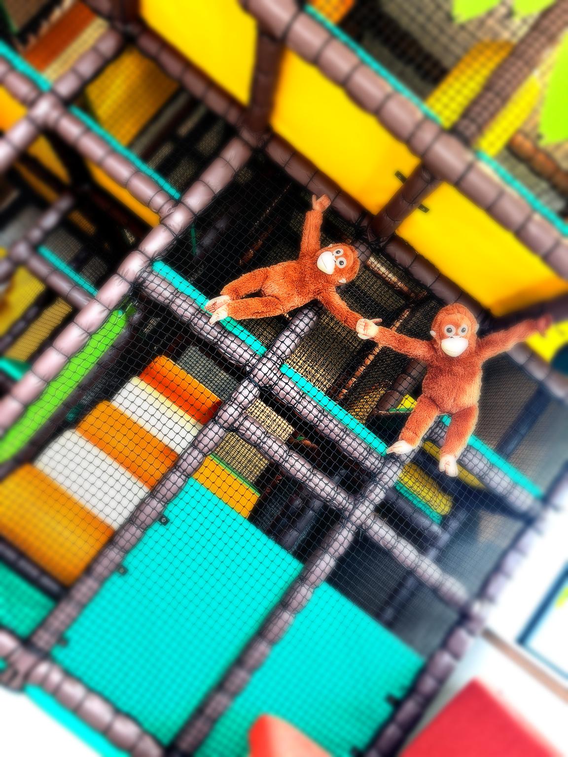 Doddy's Soft Play Cafe play area