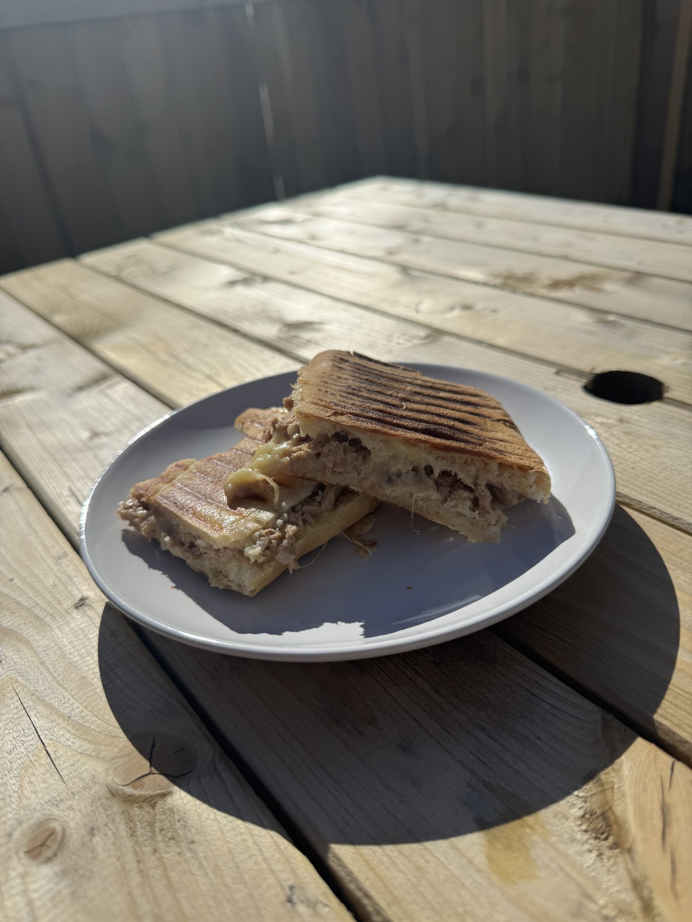 Panini